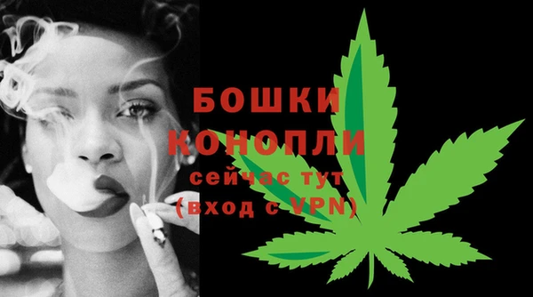 дурь Мегион