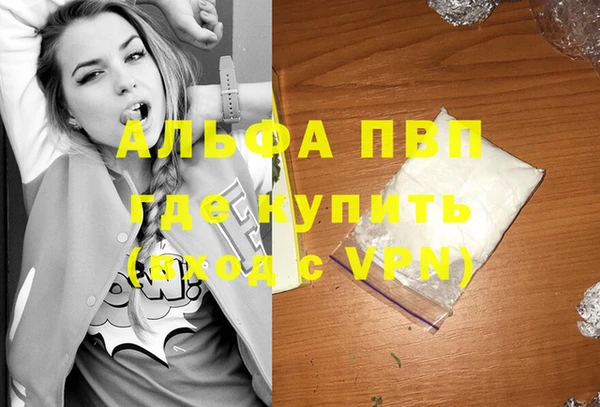 spice Великий Новгород