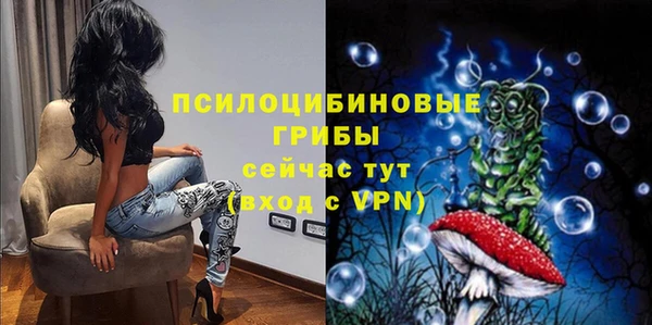 а пвп мука Медвежьегорск