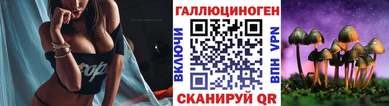 Псилоцибиновые грибы Psilocybine cubensis  Купить  Жирновск 