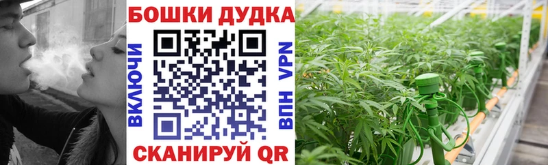 Конопля SATIVA & INDICA  Купить  Жирновск 